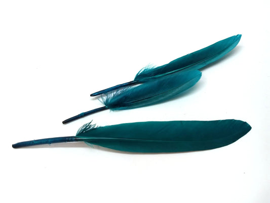 P376 - 10 pcs Peacock Teal Dangle Charms Pendants - Feather - 100mm (3.93") to 150mm (5.9") - Great for Light Earrings or Dangles! Just add crimps