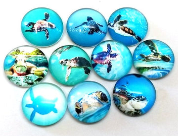 CA800 - 10 pcs Assortment of Circle Beach Glass Round Dome Seals Tiles Cabochons - 12mm - Sea Turtle
