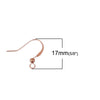 E436 - 50 pcs (25 pairs) Rose Gold Plated with Flat Earring Hooks - 17mm x 19mm - Made of Copper! High Quality