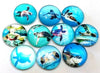 CA800 - 10 pcs Assortment of Circle Beach Glass Round Dome Seals Tiles Cabochons - 12mm - Sea Turtle
