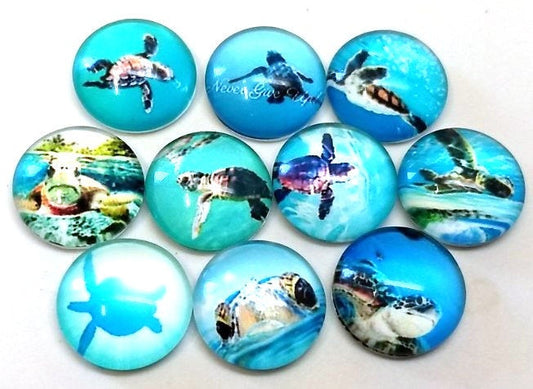 CA800 - 10 pcs Assortment of Circle Beach Glass Round Dome Seals Tiles Cabochons - 12mm - Sea Turtle