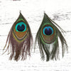 P731 - 4 pcs Peacock Dangle Charms Pendants - Feather - Silver Crimps - 140mm (5.5") - Great for Large Earrings, Necklaces or Dangles