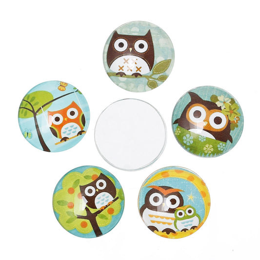 CA505 - 20 pcs Circle Owl Assortment Glass Round Dome Seals Tiles Cabochons - 20mm - Style A