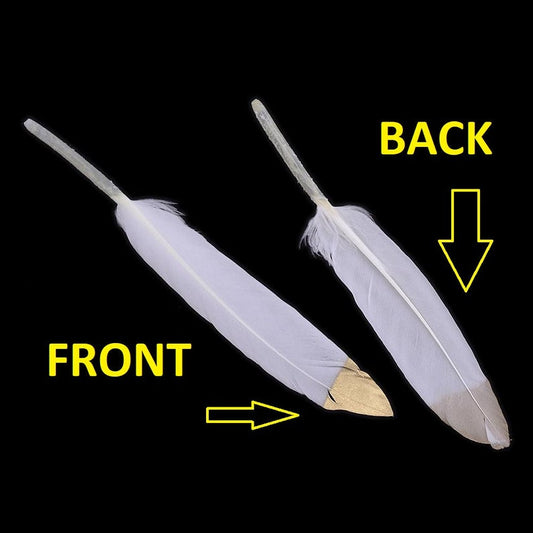 P373 - 10 pcs White and Gold Dangle Charms Pendants - Feather - 100mm (3.93") to 150mm (5.9") - Great for Light Earrings or Dangles!