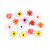 CA453 - 10 pcs Circle Flower Assortment Glass Round Dome Seals Tiles Cabochons - 20mm (3/4") - Style B