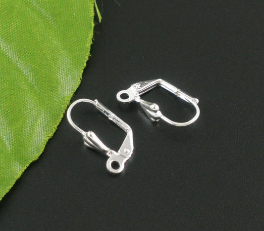 E188 - 50 pcs Silver Plated Leverback Earrings - 17x10mm
