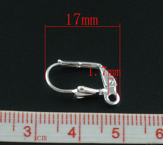 E188 - 50 pcs Silver Plated Leverback Earrings - 17x10mm