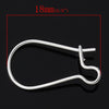 E027 - 100 pcs (50 Pairs) Silver Plated Kidney Earwire Earring Hooks -18mm x 10mm - SMALL