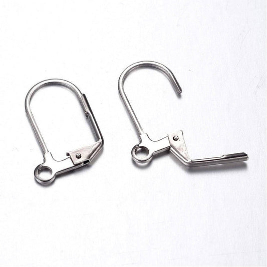 E240 - 20 pcs (10 pairs) 304 Stainless Steel Lever back Earrings - 18mm x 13mm - Hypoallergenic! Tarnish Resistant