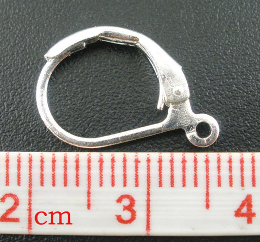 E068 - 60 pcs (30 pairs) Silver Plated Lever back Earrings - 16mm x 10mm