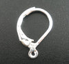 E068A - 20 pcs (10 pairs) Silver Plated Lever back Earrings - 16mm x 10mm