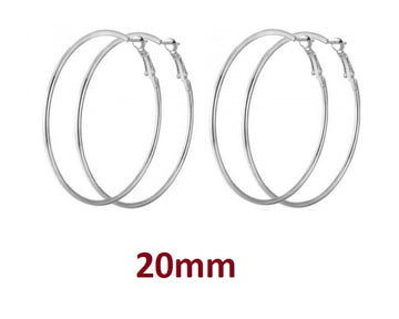 E891 - 10 pcs (5 pairs) 304 Stainless Steel Silver Tone Earring Hoops - 20mm (0.79 inch)