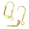 E920 - 50 pcs Gold Plated Leverback Earrings - 17mm x 10mm