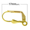 E920 - 50 pcs Gold Plated Leverback Earrings - 17mm x 10mm