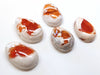 PS51 - 5 pcs. Genuine Mexican Fire Opal Teardrop Cabochons - To use with Bails and on Flat Pads! Sizes vary - Set T