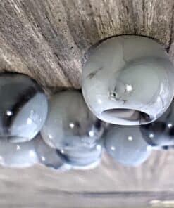 BD944 - 100 pcs Black and Smoke Acrylic Smooth Ball Spacer Beads - 10mm - Large Hole: 4.9mm - Fits European Cords and Paracord!